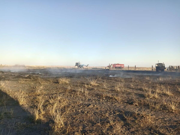 Дети сожгли 82 тонны сена в области Абай