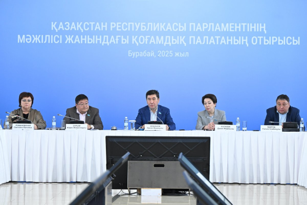 Год закону о бытовом насилии: снижение количества преступлений отметили в Казахстане