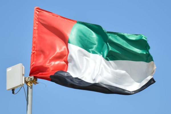 В&nbsp;ОАЭ пострадала россиянка при перехвате БПЛА