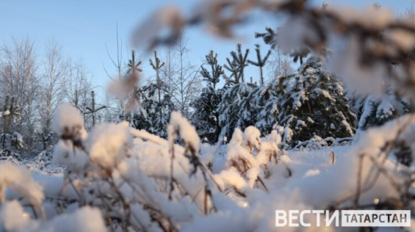 В Татарстане ожидаются снег и слабые метели