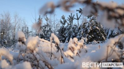 В Татарстане ожидаются снег и слабые метели