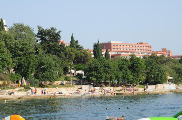 Российские туристы во Вьетнаме пострадали от укусов ядовитых жуков-томкатов