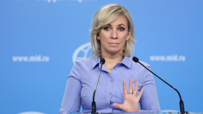 Захарова назвала Совет Европы запутавшимися в половых органах клоунами