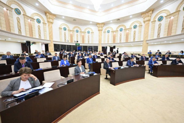«Надеемся, учтут»: Сенаторы утвердили отчет правительства и ВАП об исполнении бюджета за 2024 год