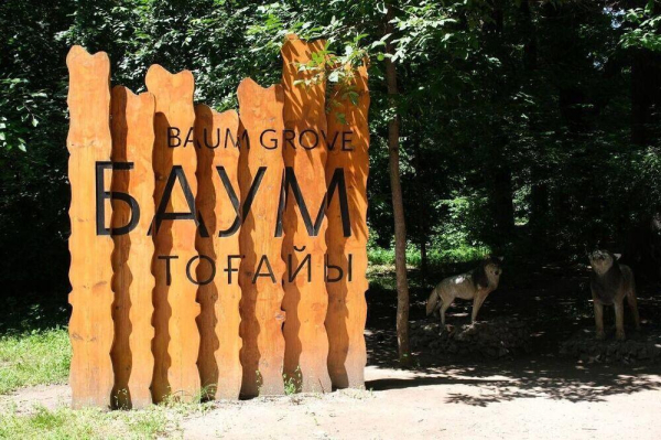 Реконструкция рощи Баума: стройкомпания сделала заявление