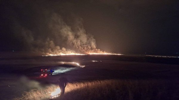 Сильный пожар произошел вблизи села в Акмолинской области