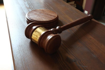 Судья процитировал Белинского перед приговором костромичу за госизмену