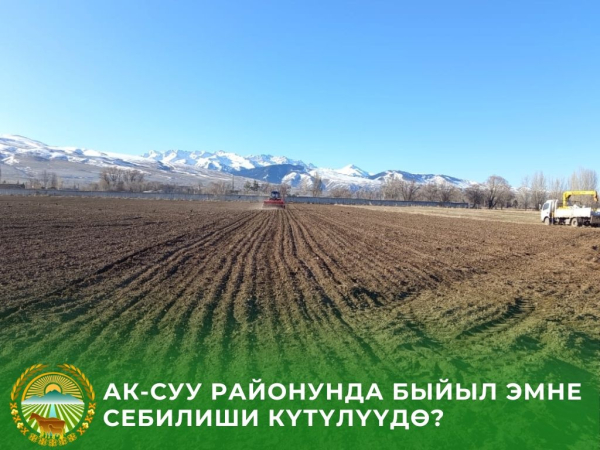 В Ак-Суйском районе под зерновые культуры отвели почти 27 тысяч гектаров