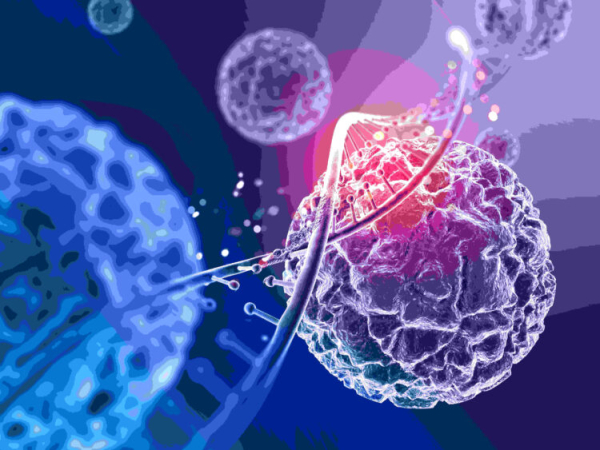 В России не зафиксировали случаи вируса Нипах