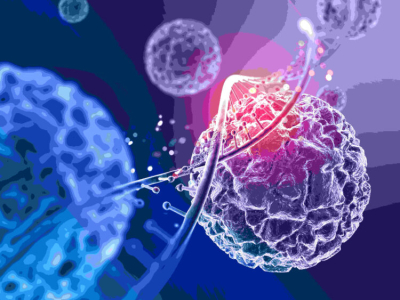 В России не зафиксировали случаи вируса Нипах