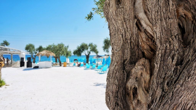 Роспотребнадзор обратился к властям Вьетнама из-за отравления туристов на пляже