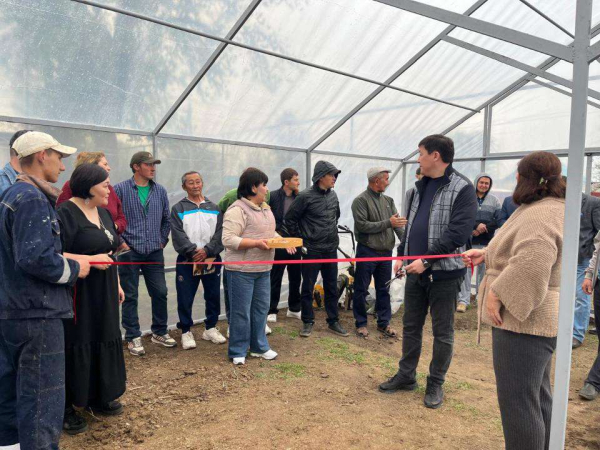 Как проект «Batys AgroHub» помогает развивать тепличное хозяйство