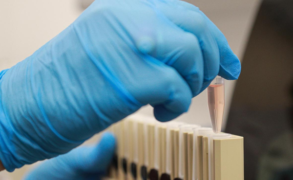 В правительстве одобрили законопроект о геномной регистрации военных