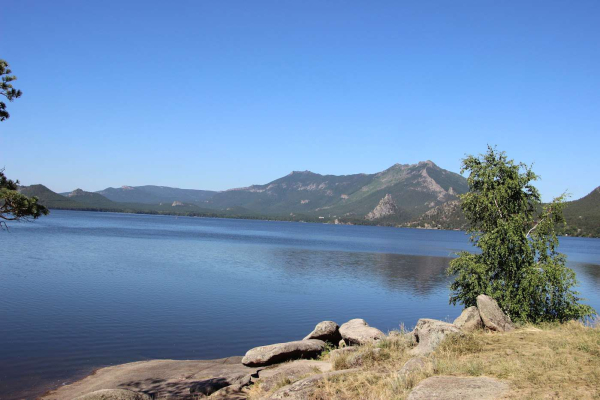 Отрасль, где гостеприимство – фактор успеха