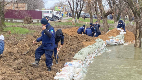 Порядка 20 тысяч добровольцев задействованы в противопаводковых мероприятиях