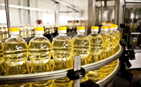 Растительное "золото" Казахстана рвется на экспорт