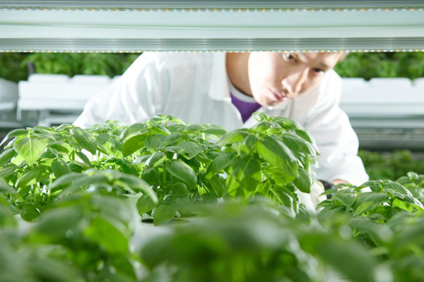 Московские предприятия пищевой промышленности нарастили отгрузку продукции на 20 процентов