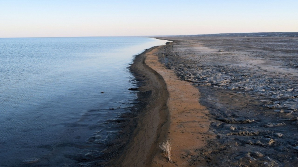 Арал хотят наполнить водой за пять лет