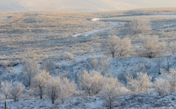 Комитет одобрил состоящий &laquo;из замечаний&raquo; законопроект об охранных землях