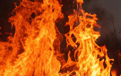 Сразу 12 человек, в том числе девять детей, погибли в пожаре в Туркестанской области