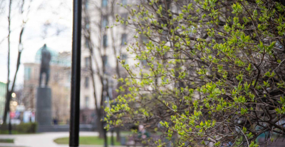 Инфекционист Кандоба рассказала о мерах предосторожности в сезон клещей