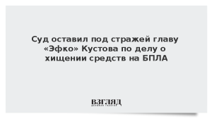 Суд оставил под стражей главу «Эфко» Кустова по делу о хищении средств на БПЛА