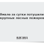 На Ямале за сутки потушили 20 крупных лесных пожаров