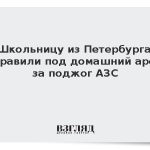 Школьницу из Петербурга отправили под домашний арест за поджог АЗС