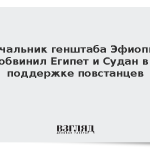 Начальник генштаба Эфиопии обвинил Египет и Судан в поддержке повстанцев