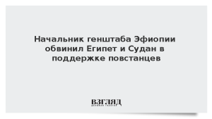 Начальник генштаба Эфиопии обвинил Египет и Судан в поддержке повстанцев