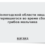 В Вологодской области нашли потерявшегося во время сбора грибов мальчика
