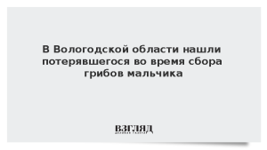 В Вологодской области нашли потерявшегося во время сбора грибов мальчика