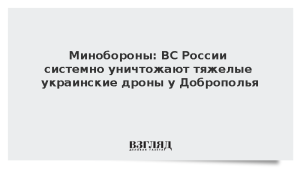 Минобороны: ВС России системно уничтожают тяжелые украинские дроны у Доброполья
