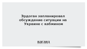 Эрдоган запланировал обсуждение ситуации на Украине с кабмином