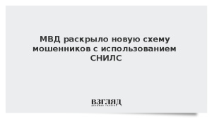 МВД раскрыло новую схему мошенников с использованием СНИЛС