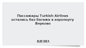 Пассажиры Turkish Airlines остались без багажа в аэропорту Внуково