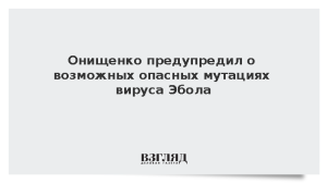 Онищенко предупредил о возможных опасных мутациях вируса Эбола