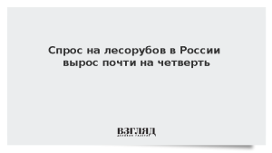 Спрос на лесорубов в России вырос почти на четверть