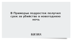 В Приморье подросток получил срок за убийство в новогоднюю ночь