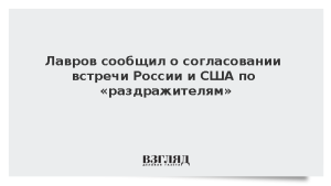 Лавров сообщил о согласовании встречи России и США по «раздражителям»