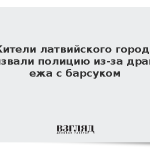 Жители латвийского города вызвали полицию из-за драки ежа с барсуком
