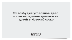 СК возбудил уголовное дело после нападения девочки на детей в Новосибирске