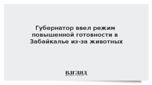 Губернатор ввел режим повышенной готовности в Забайкалье из-за животных