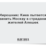 Мирошник: Киев пытается обвинить Москву в страданиях жителей Алешек