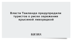 Власти Таиланда предупредили туристов о риске заражения крысиной лихорадкой