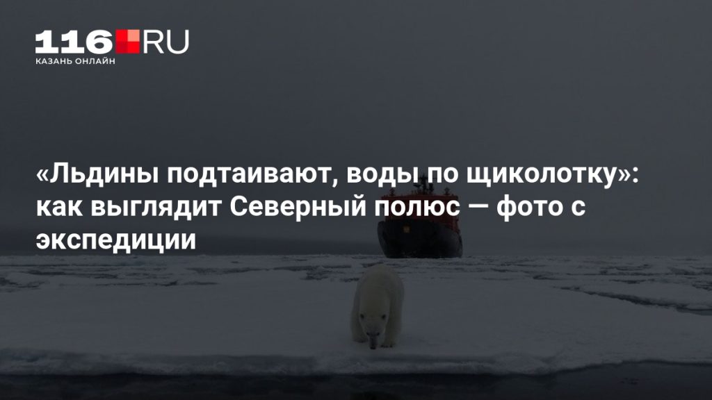 «Льдины подтаивают, воды по щиколотку»: как выглядит Северный полюс — фото с экспедиции