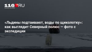 «Льдины подтаивают, воды по щиколотку»: как выглядит Северный полюс — фото с экспедиции