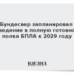 Бундесвер запланировал приведение в полную готовность полка БПЛА к 2029 году
