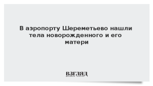 В аэропорту Шереметьево нашли тела новорожденного и его матери