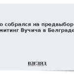 Фицо собрался на предвыборный митинг Вучича в Белграде